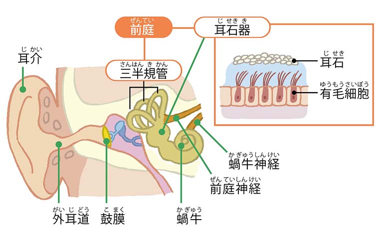 熱いシャワーによるめまいや気分が悪くなるのを防ぐことはできますか?