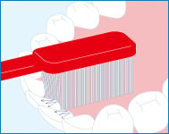 下の前歯の磨き方