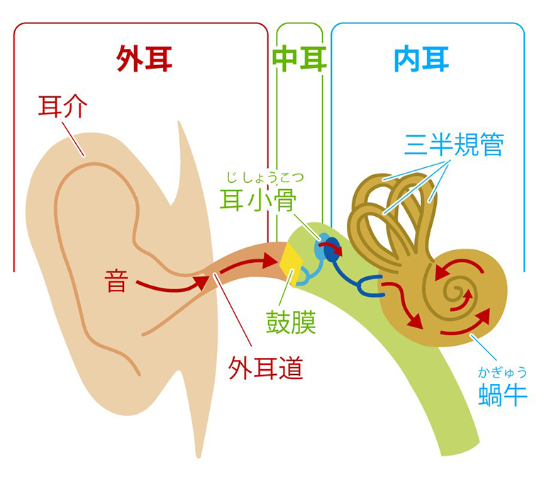 イヤホンの長時間使用に注意 身近な耳の病気 外耳炎 外耳道炎 とは 特集テーマ サワイ健康推進課